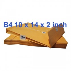 Goldkraft Expandable Envelope EXB4 10x14x2 (Pack of 10)