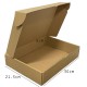 Postal Mailing Pizza Folding Box Size DC-ZS14-A4
