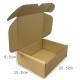 Postal Box Size 00 (XXXS) - 25pcs per bundle